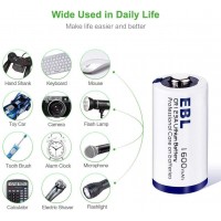Disposable Battery