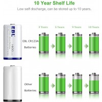 Disposable Battery