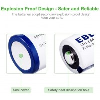 Disposable Battery