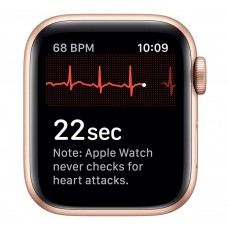 Apple Watch Series 5 A2157 44mm GPS + Cellular 32GB Gold Stainless Steel – A Grade - NO Band