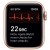 Apple Watch Series 5 A2157 44mm GPS + Cellular 32GB Gold Stainless Steel – A Grade - NO Band