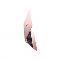 APPLE Laptop