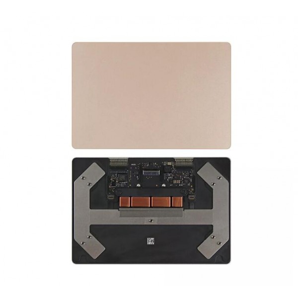 Laptop Trackpad