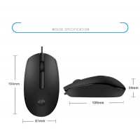 Keyboard & Mouse