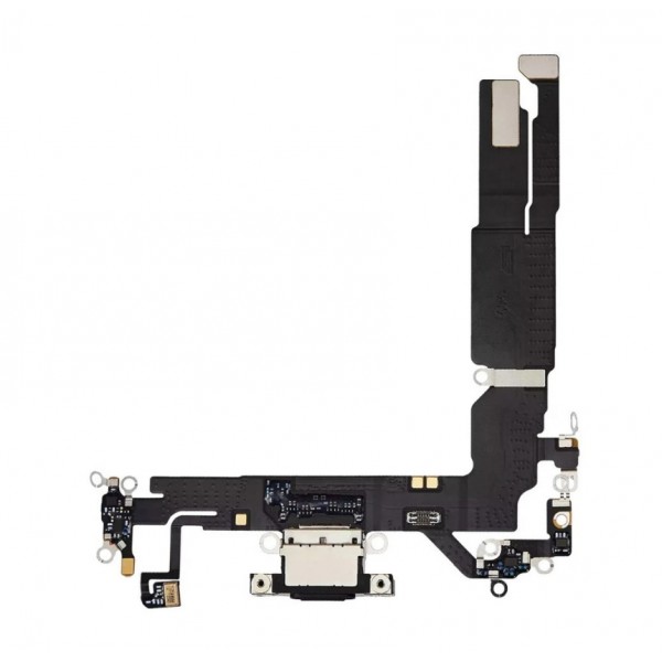 iPhone Charging Port