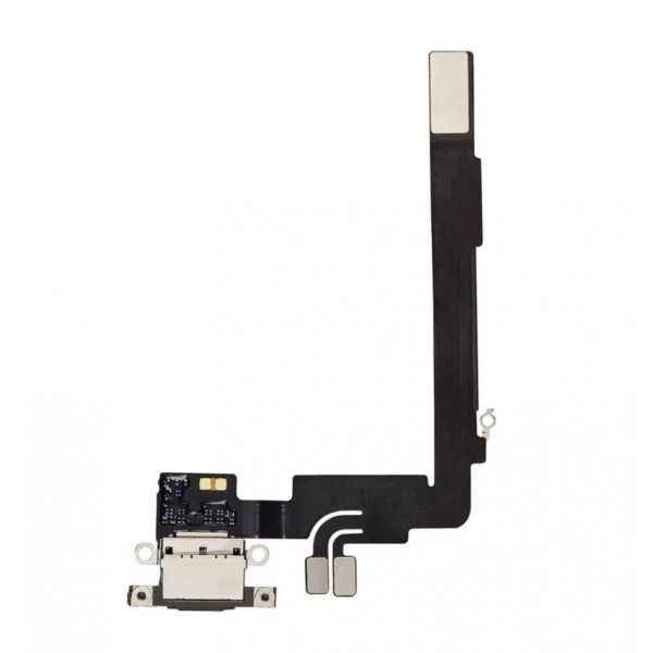 iPhone Charging Port