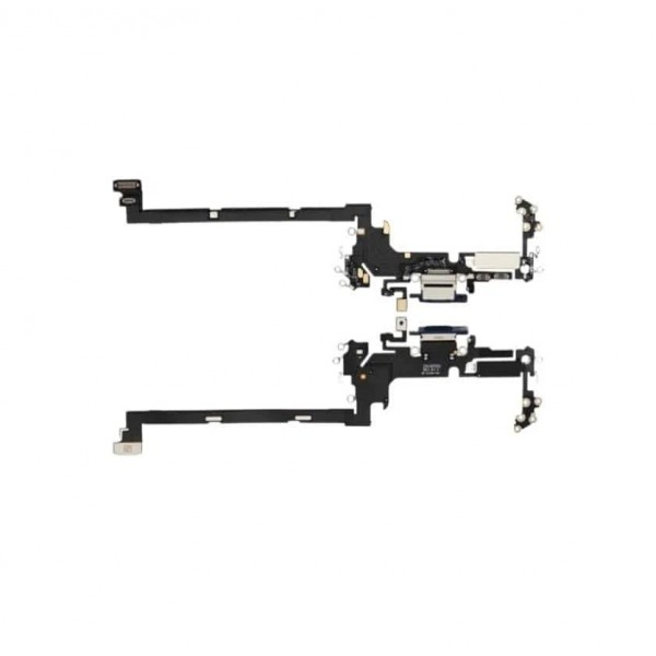 iPhone Charging Port