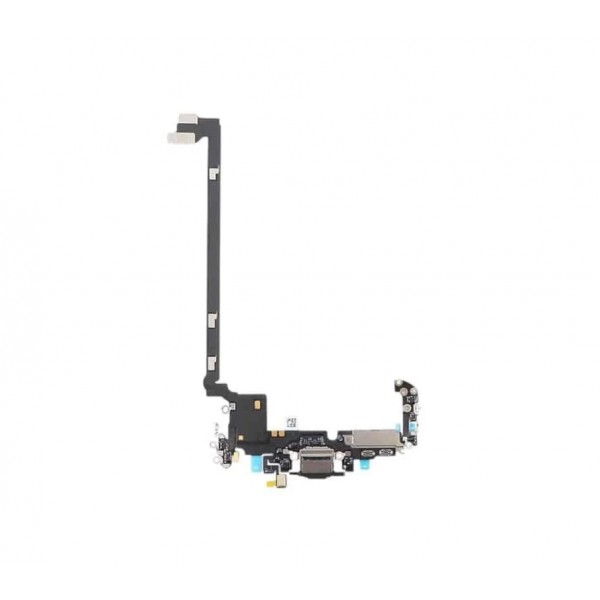 iPhone Charging Port