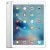 iPad Pro 1 (2016) 9.7" Wi-Fi Only 256GB Silver A1673 Excellent Grade over 90% Battery Health( Refurbished )