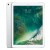 iPad Pro 12.9 (2017) 2nd Gen Wi-Fi + Cellular 256GB Silver A1671 Excellent Grade above 80% Battery Health (Refurbished) - Uneven Backlighting