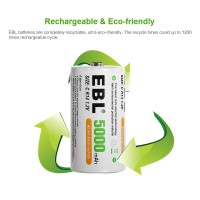 Disposable Battery